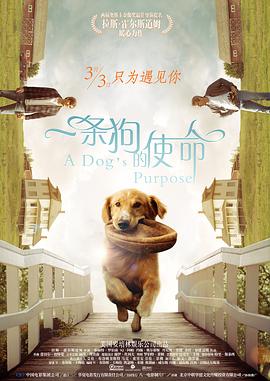 桃色成人网